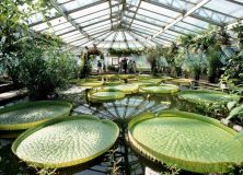 37 Luxus Botanischer Garten Berlin Das Beste Von