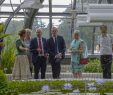Botanischer Garten Berlin Elegant Victoria ist Zurück Das Victoriahaus ist Wieder Geöffnet