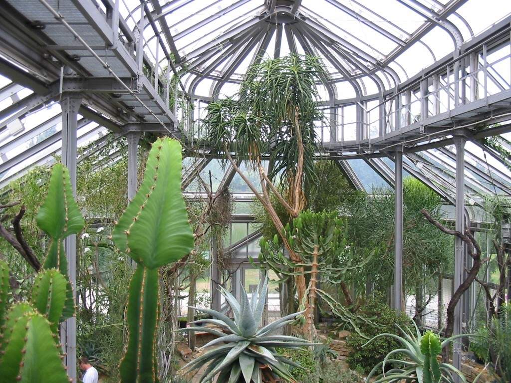 Datei Botanischer Garten Berlin Greenhouse 6