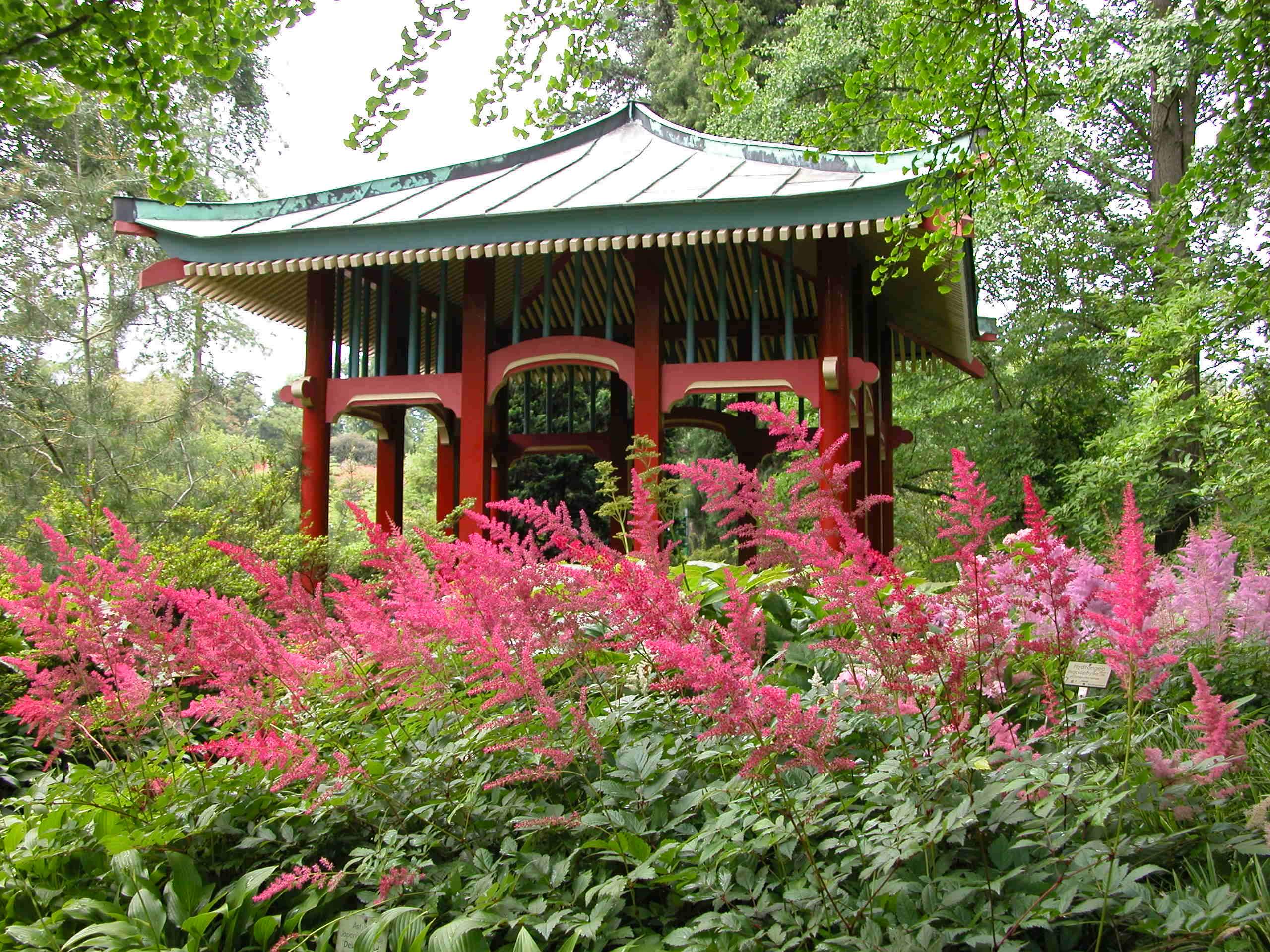 Botanischer Garten Berlin Schön Japan