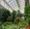 Botanischer Garten Bonn Das Beste Von Botanische Gärten Mit Gewächshäusern In Deutschland Eine