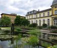 Botanischer Garten Bonn Elegant Datei 2018 06 18 Bonn Meckenheimer Allee 169 Botanischer
