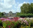 Botanischer Garten Bonn Luxus Faszination Botanischer Garten