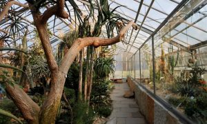 38 Reizend Botanischer Garten Dresden Inspirierend