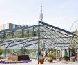 Botanischer Garten Hamburg Einzigartig Gutachterempfehlungen Werden Auf Den Weg Gebracht