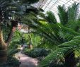 Botanischer Garten Hamburg Luxus Botanische Gärten Mit Gewächshäusern In Deutschland Eine