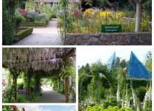 40 Genial Botanischer Garten Hamburg Elegant