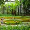 Botanischer Garten Marburg Das Beste Von Aufdenlahnbergen Hashtag On Twitter