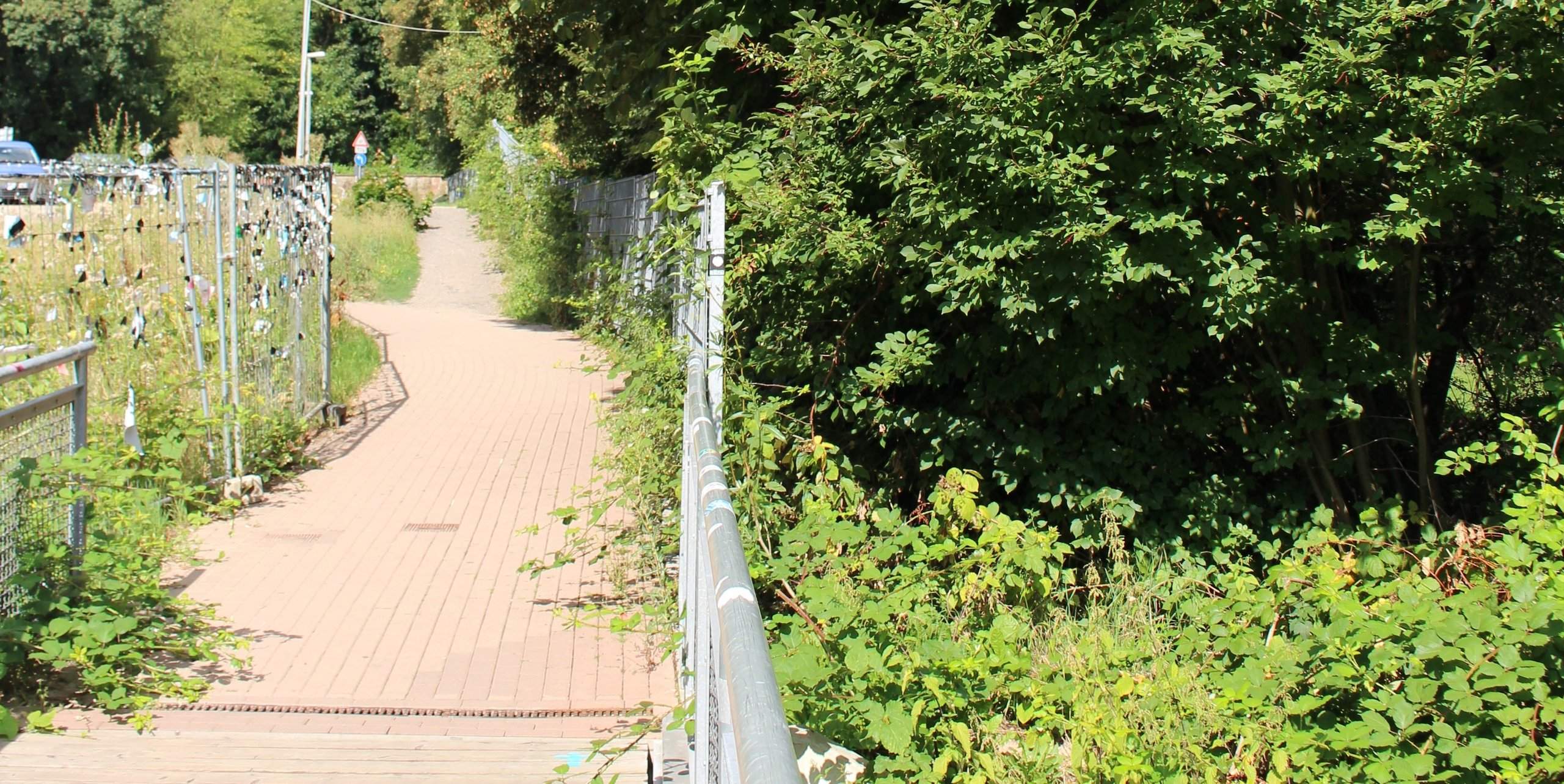 Botanischer Garten Marburg Genial Naturschutzbund Hat forderungen Zur Neugestaltung Vom Alten