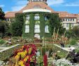 Botanischer Garten München Das Beste Von Botanischer Garten München Nymphenburg
