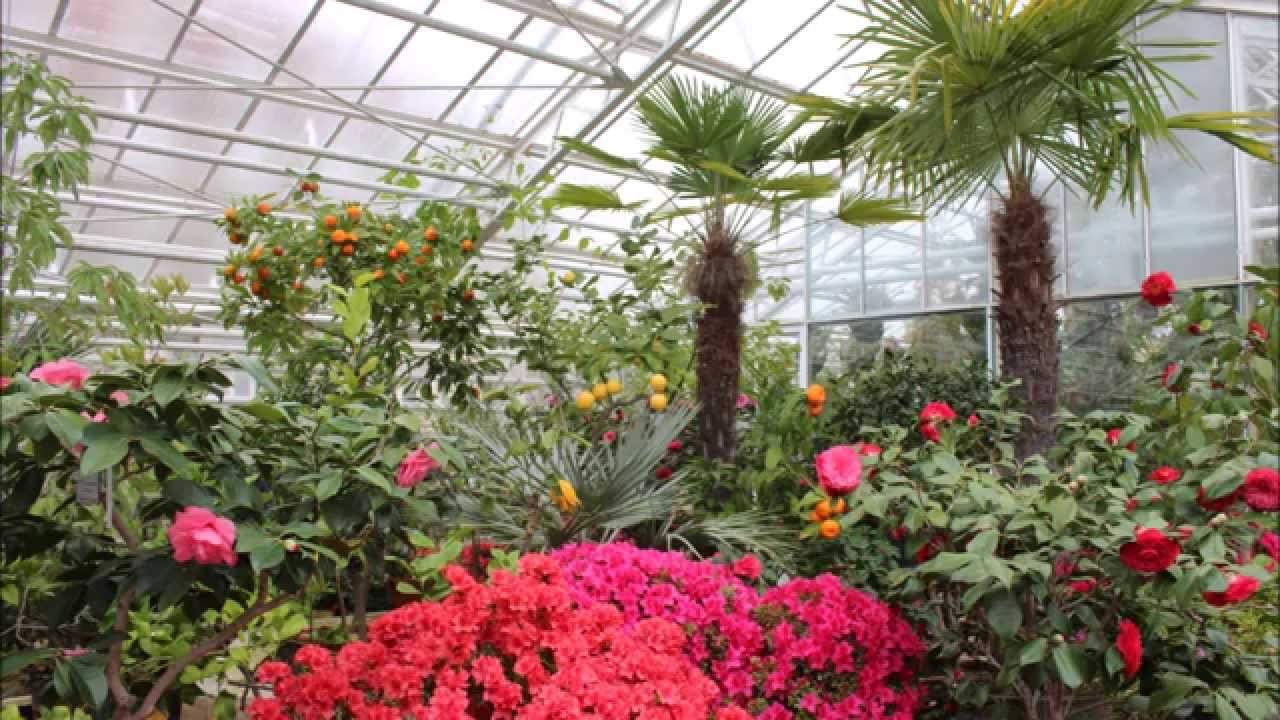 Botanischer Garten München Reizend Botanischer Garten Muenchen 01 03 2015