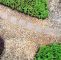 Garten Gestalten Mit Wenig Geld Reizend Viel Garten Für Wenig Geld – Die 10 Besten Tipps