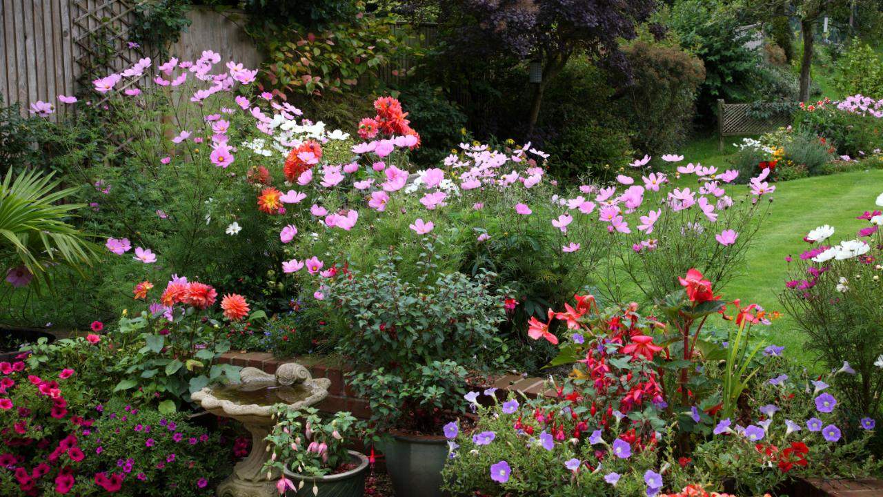 Garten Gestalten Schön Garten Anlegen Und Pflegen Schritt Für Schritt Zu Ihrem