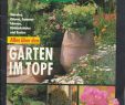 Mein Schöner Garten forum Frisch 16 Hefte "mein Schöner Garten" Einzelhefte Aus Den Jahrgängen 1976 1977 Und 1979 Liste Siehe Bei Beschreibung