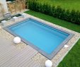 Pool Im Garten Elegant Minipool Geht Auch Auf Dem Dach