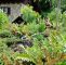 Schöne Gärten Frisch Schöne Gärten Entlang Des Weges Back Hiker