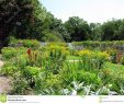 Schöne Gärten Genial Schöne Gärten Stockfoto Bild Von Betrieb Durchdacht