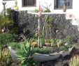 Schöne Gärten Inspirierend Bild "schöne Gärten" Zu Hafen Puerto Del Carmen In Puerto