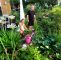 Schöne Gärten Inspirierend Serie „schöne Gärten“ Ein Para S Auf Engem Raum