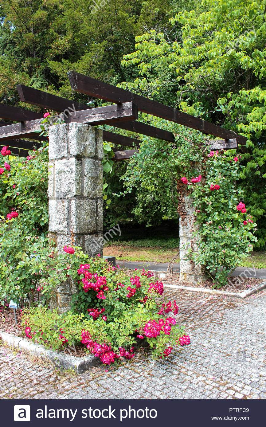 Schöne Gärten Luxus Schöne Gärten Rosen Und Ein Gitter Mit Kletterpflanzen