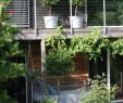Schweizer Garten Elegant Gefällt 674 Mal 22 Kommentare Ein Schweizer Garten
