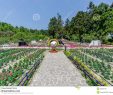 Schweizer Garten Inspirierend Kleiner Schweizer Garten Cingjing In Nantou Taiwan