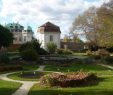 Schweizer Garten Reizend Botanische Spaziergaenge • thema Anzeigen 07 11 2013