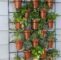 Vertikaler Garten Einzigartig Kräuter Auf Dem Balkon Pflanzen – Wie Legt Man Einen