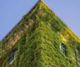 Vertikaler Garten Inspirierend Immobilien Der Geplatzte Traum Vom Vertikalen Garten Welt