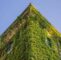 Vertikaler Garten Inspirierend Immobilien Der Geplatzte Traum Vom Vertikalen Garten Welt