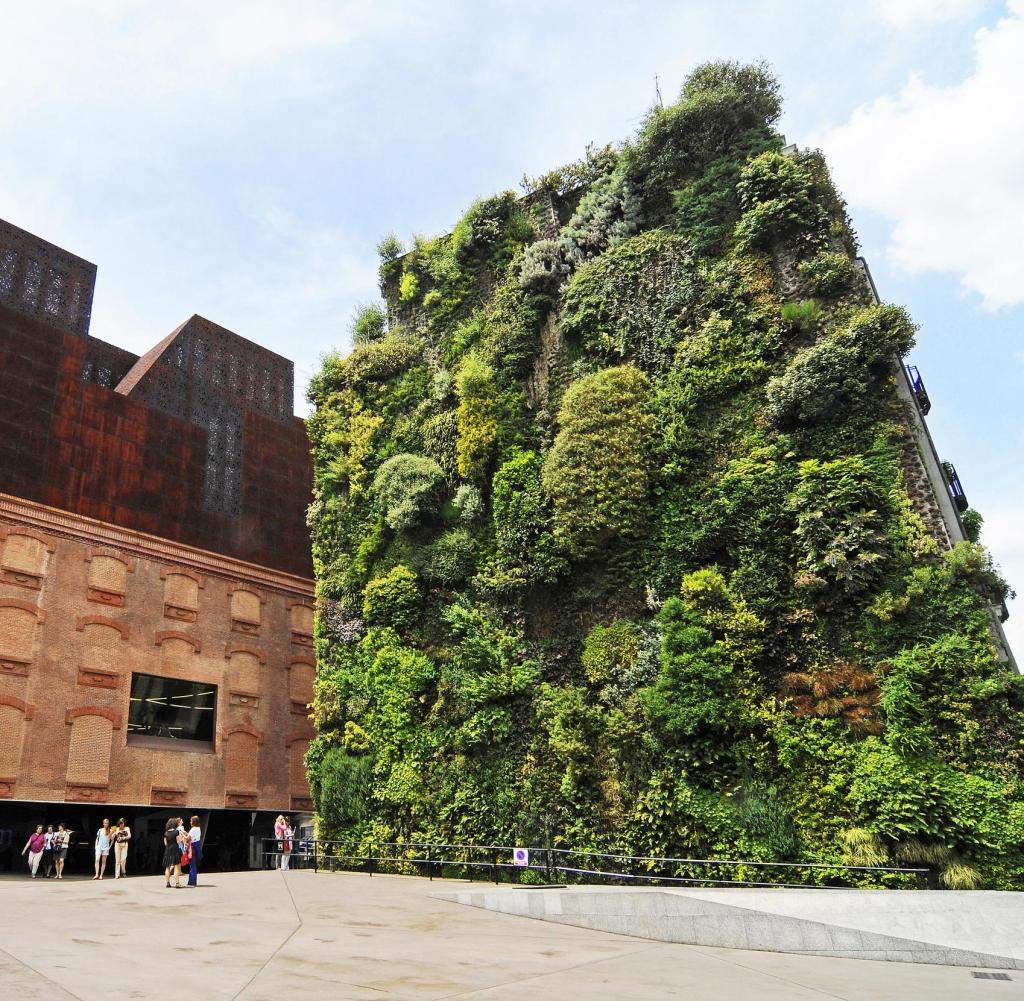 Vertikaler Garten Luxus Klimawandel solchen Fassaden Gehört Zukunft Welt