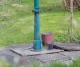 Wasserpumpe Garten Elegant Hand Wasserpumpe In Einem Garten In Göteborg Schweden