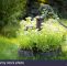 Wasserpumpe Garten Frisch Alte Rustikale Manuelle Wasserpumpe Garten Halbieren Von