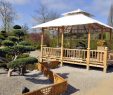 Zen Garten Inspirierend Koi Zen Garten