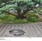 Zen Garten Inspirierend Zengarten Buddhismus Stockfoto Bild Von Kultur