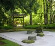 Zen Garten Luxus Steingarten Zen Garten Freshouse