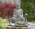 Zen Garten Luxus Zen Garten Als Dekorativer Blickfang Gärten Der Welt