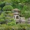 Zen Garten Schön Japanischer Zengarten Mit Bonsai Und Traditionelle Steinlaterne Stockfoto Und Mehr Bilder Von Architektur